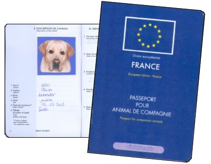 vacances passeport animal