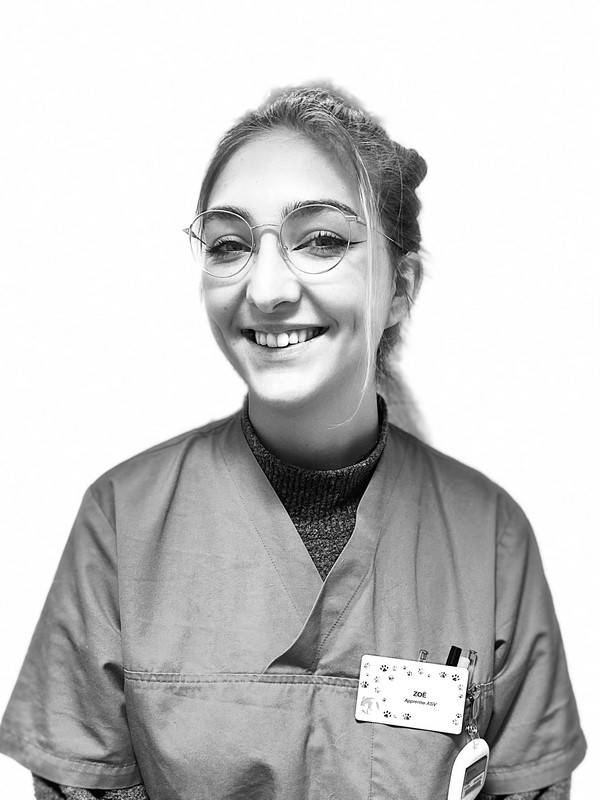 Zoé ASV (Copy)